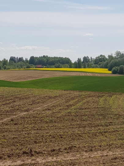 Latvijā ir sākta kūdraugsnes izplatības precizēšana lauka apstākļos