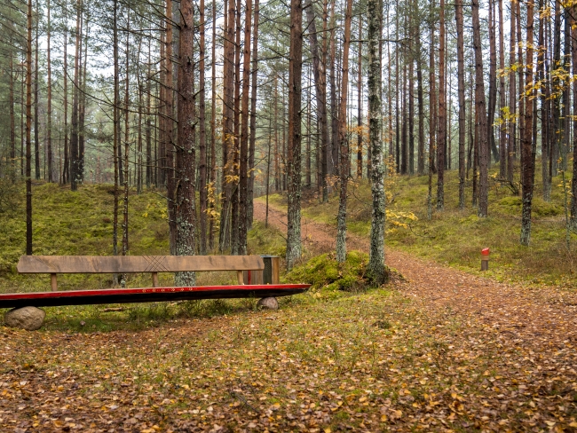 Bernātu dabas parka pastaigu takas