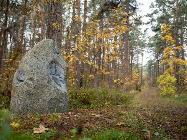 Bernātu dabas parka pastaigu takas